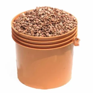 Olotu Beans